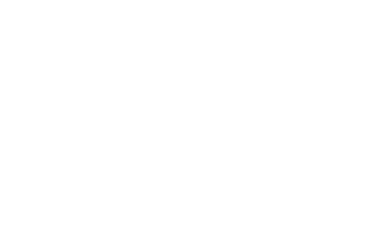 Radio PFR Logo